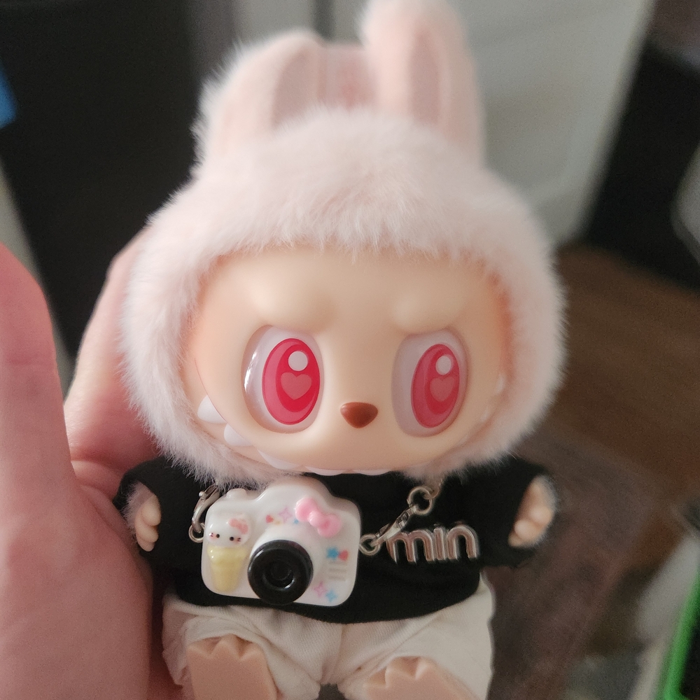 Dada Labubu with Camera Accessory